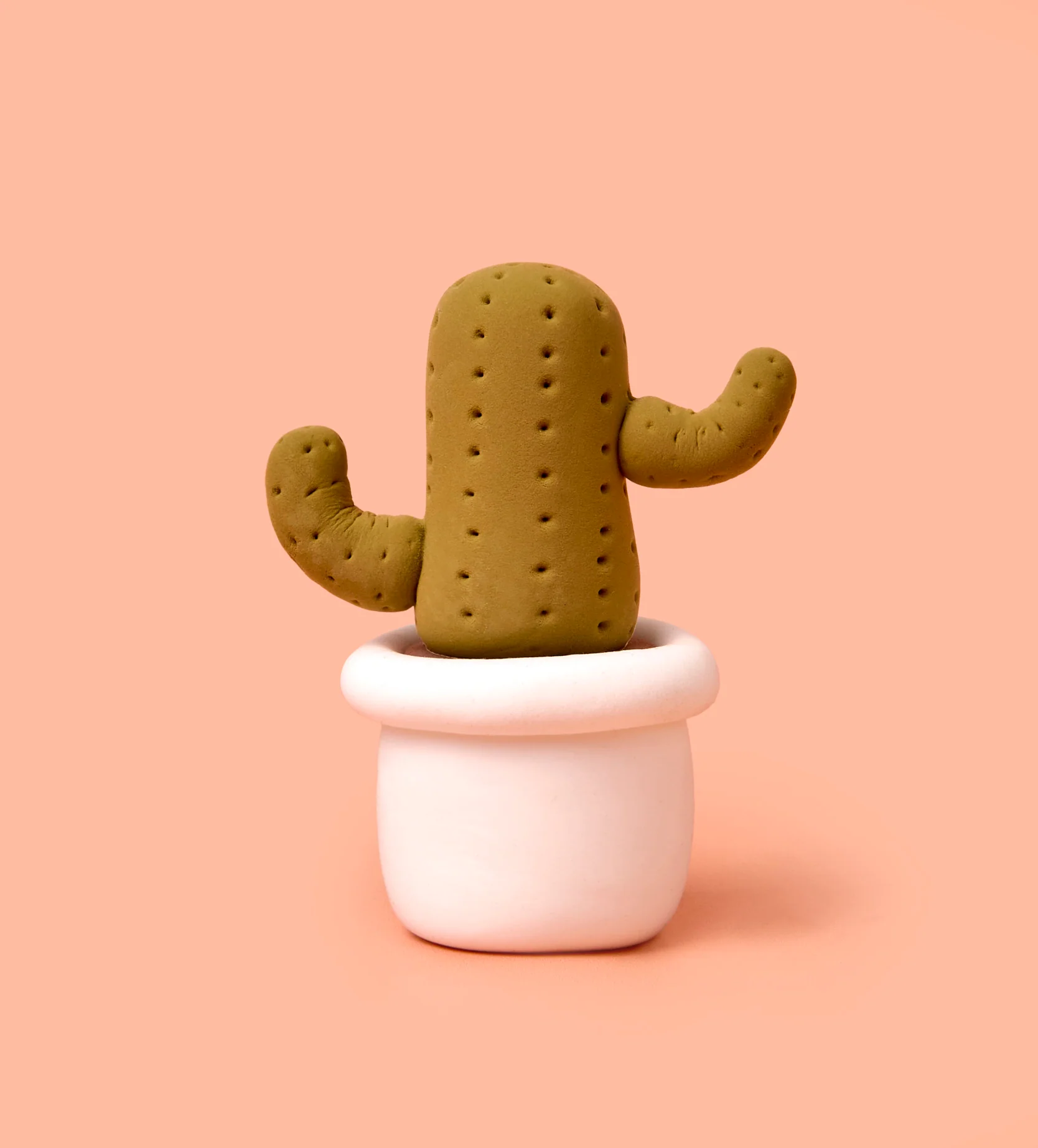 Buds & Blooms: Cactus - Image 9