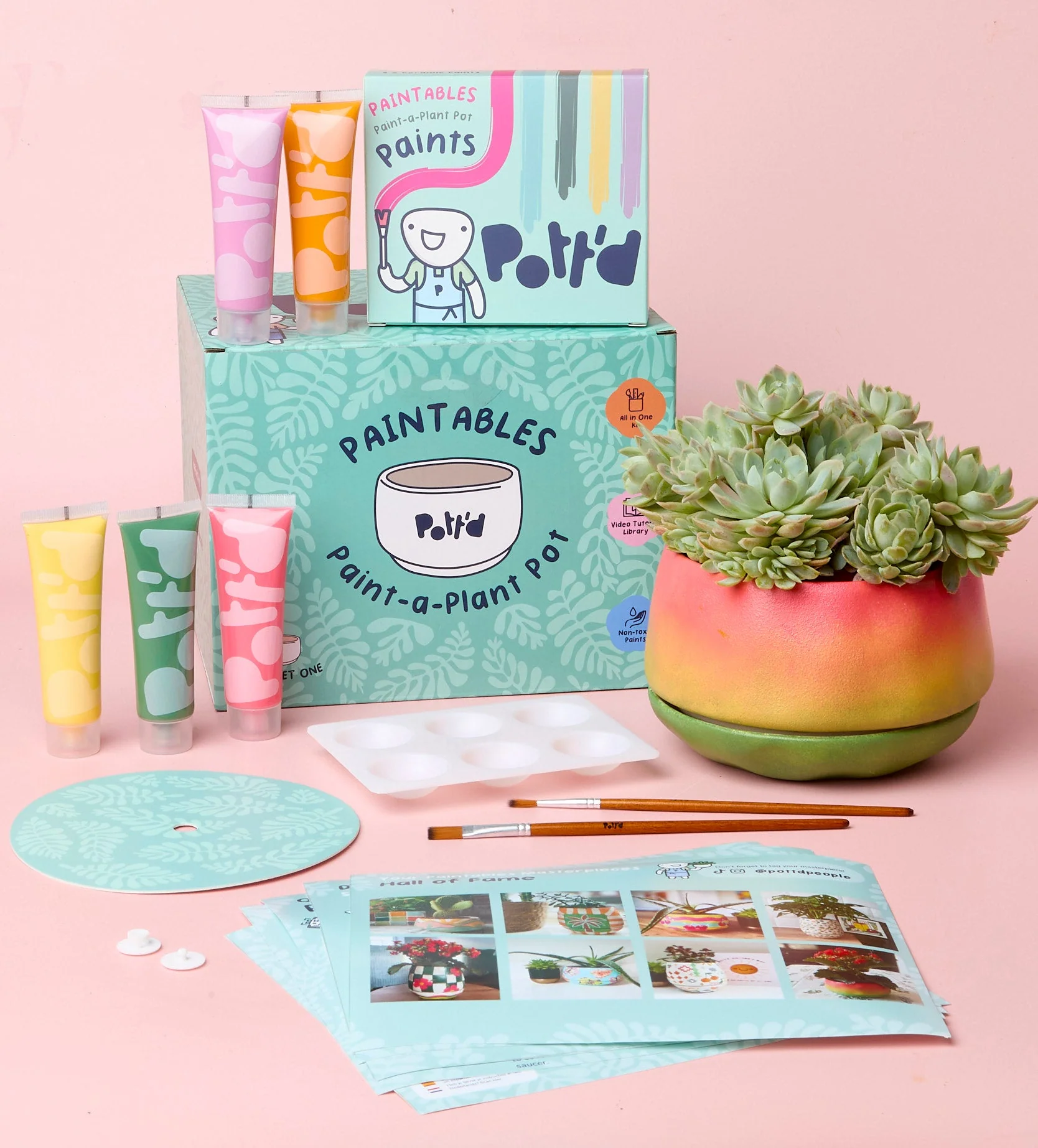 Paint-a-Plant Pot - Image 10