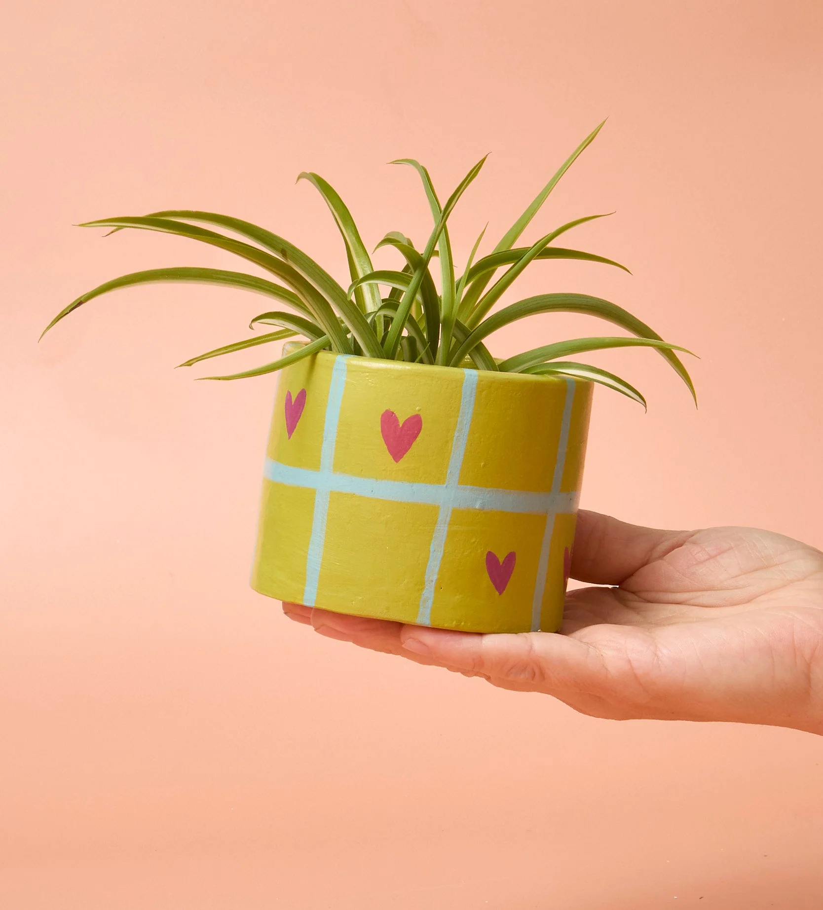 Home Pottery Kit - Image 121