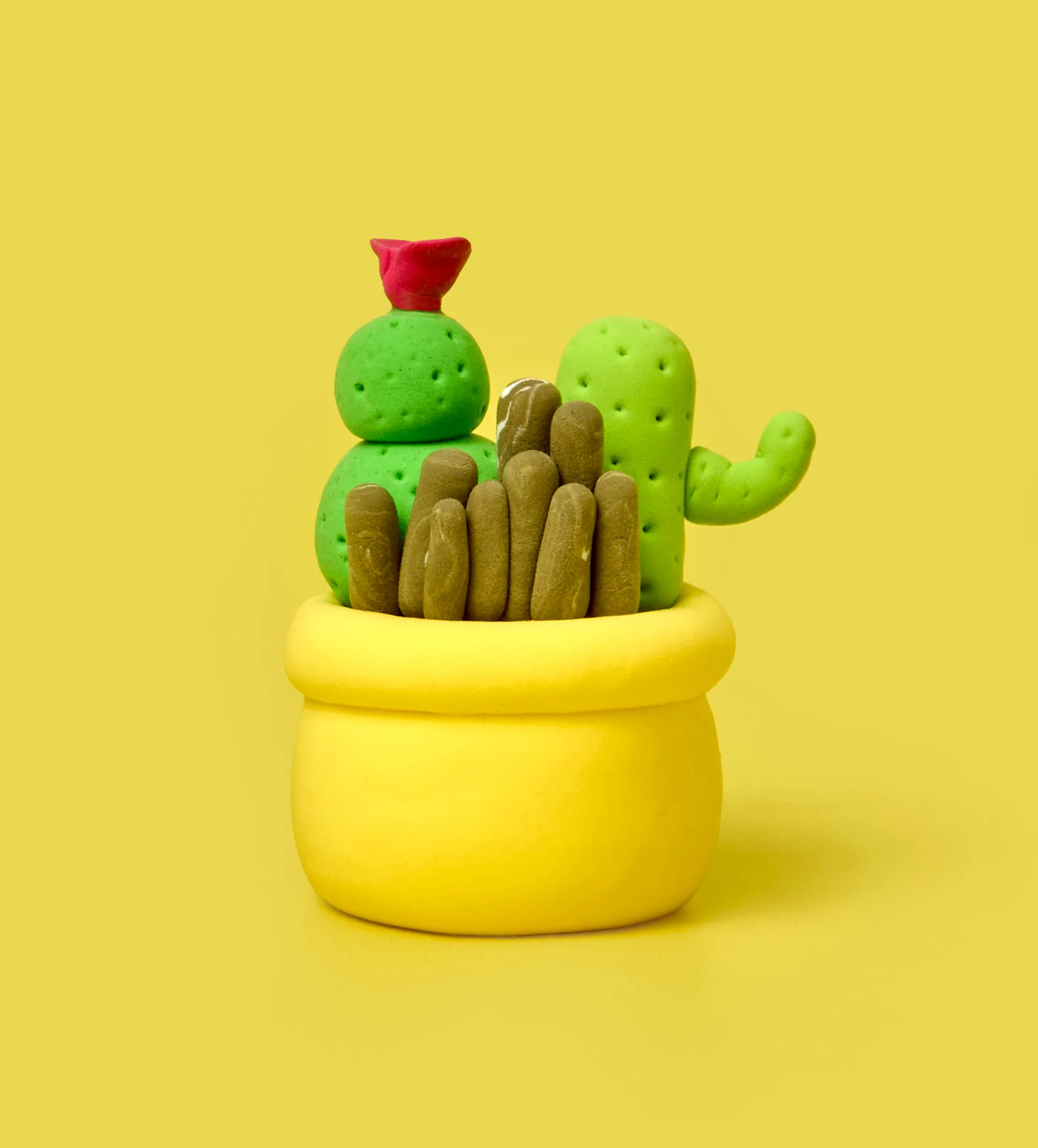 Sweet & Sharp Bundle - Image 9